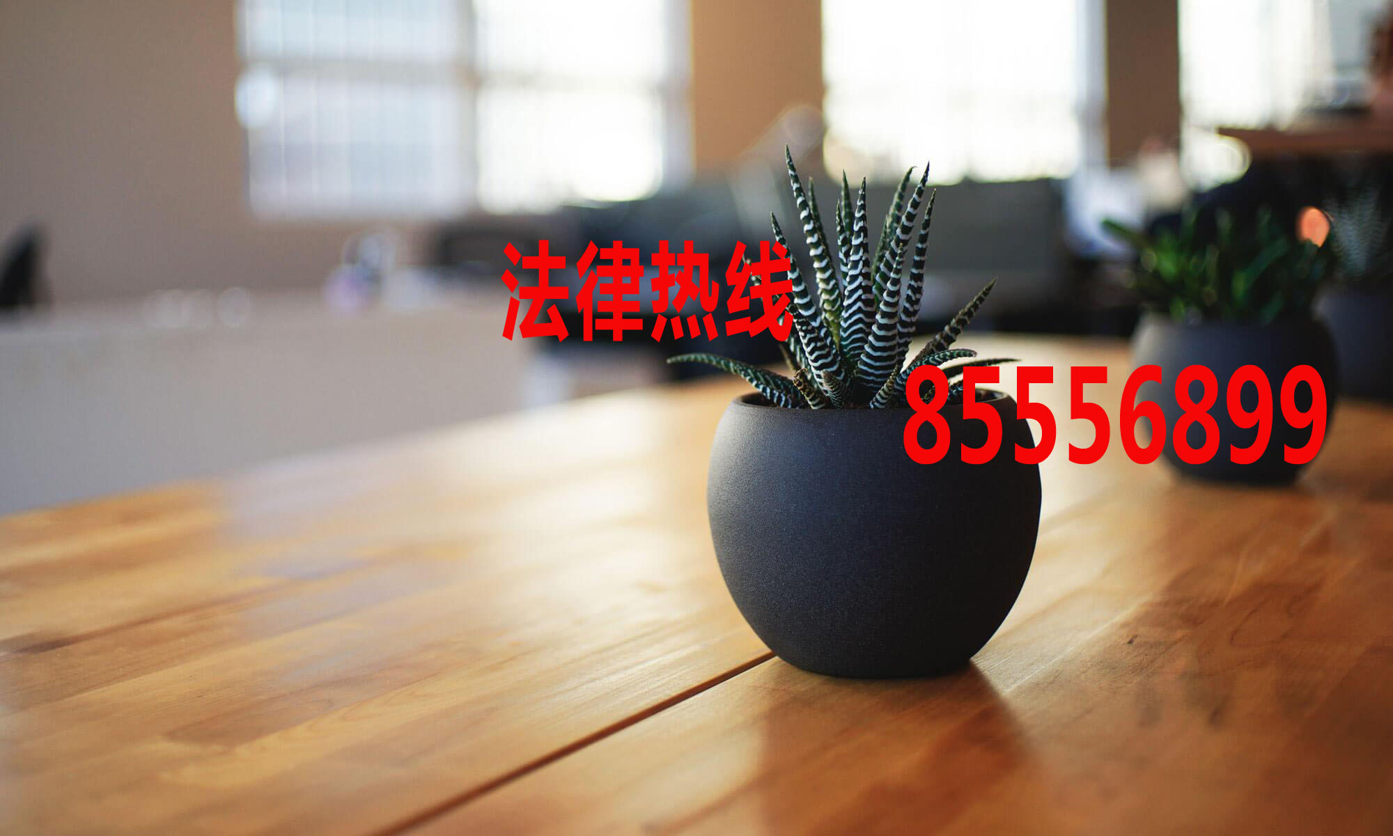 瑞安律师15356291688_温州市瑞安市律师